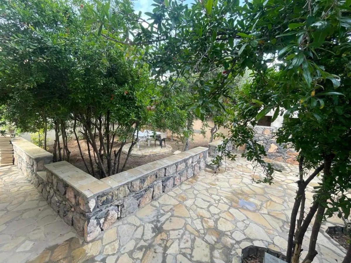 Rose Guesthouse Al 'Aqar Buitenkant foto